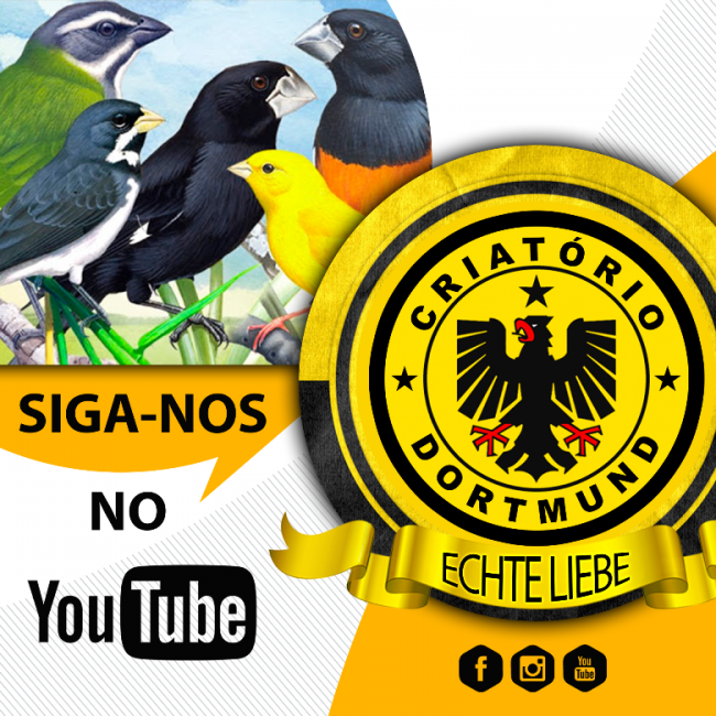 FLYER_YOUTUBE-DORTMUND
